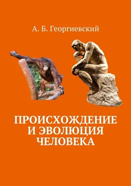 Александр Георгиевский Происхождение и эволюция человека обложка книги