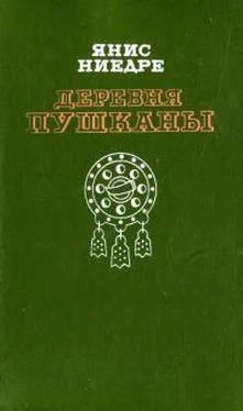 Янис Ниедре Деревня Пушканы обложка книги