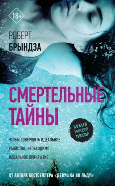 Роберт Брындза Смертельные тайны обложка книги