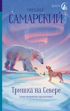 Михаил Самарский Тришка на Севере обложка книги