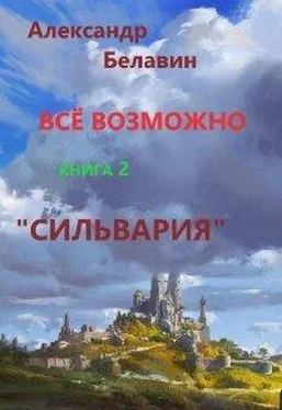 Александр Белавин Сильвария обложка книги