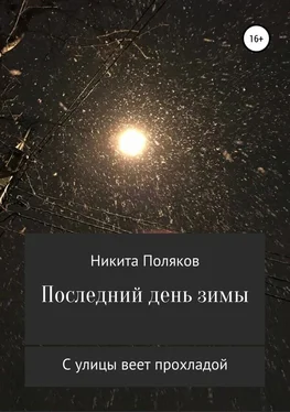 Никита Поляков Последний день зимы (сборник стихов) [СИ] обложка книги