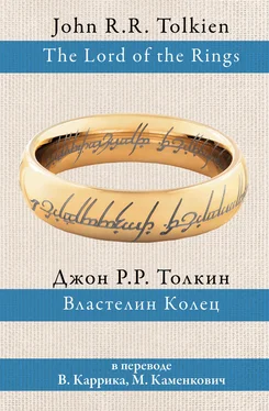 Джон Толкин Властелин Колец [litres] обложка книги