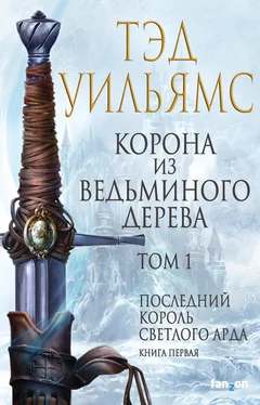 Тэд Уильямс Корона из ведьминого дерева. Том 1 [litres] обложка книги