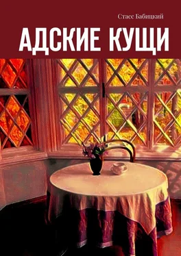 Стасс Бабицкий Адские кущи обложка книги