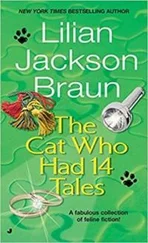Лилиан Браун - The Cat Who Had 14 Tales