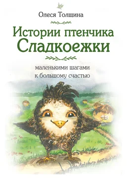 Олеся Толщина Истории птенчика Сладкоежки: маленькими шагами к большому счастью обложка книги