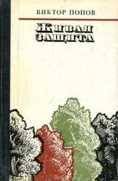 Виктор Попов Живая защита обложка книги