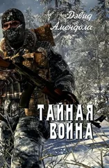 Дэвид Амендола - Тайная война