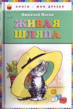 Николай Носов Прятки обложка книги