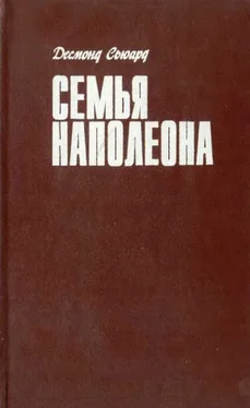 Десмонд Сьюард Семья Наполеона обложка книги