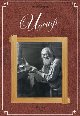 Павел Богучаров Иосиф обложка книги