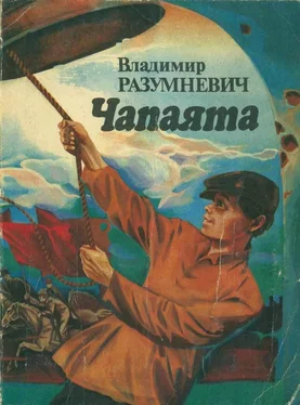 Владимир Разумневич Чапаята обложка книги