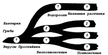 Рис 1 Зависимость арсенала защитных механизмов которым располагает - фото 1