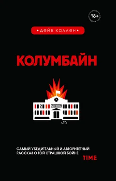 Дейв Каллен Колумбайн [litres] обложка книги