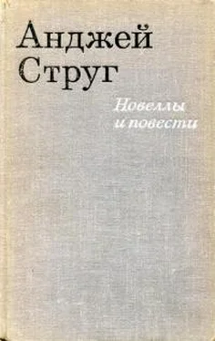 Анджей Струг Новеллы и повести обложка книги