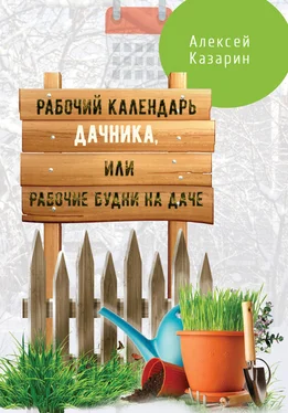 Алексей Казарин Рабочий календарь дачника, или Рабочие будни на даче обложка книги