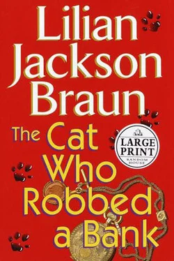 Lilian Braun The Cat Who Robbed a Bank обложка книги