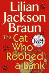 Lilian Braun - The Cat Who Robbed a Bank