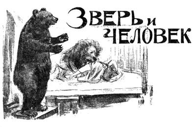 Рассказ Н И Федотова Иллюстрации И А Владимирова О ЗВЕРИНЦЕ - фото 17