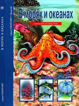 Сергей Афонькин В морях и океанах обложка книги