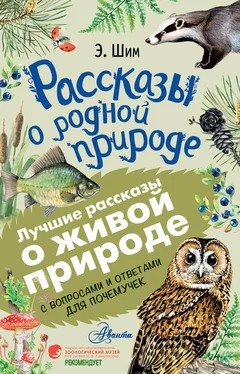 Эдуард Шим Рассказы о живой природе. С вопросами и ответами для почемучек обложка книги