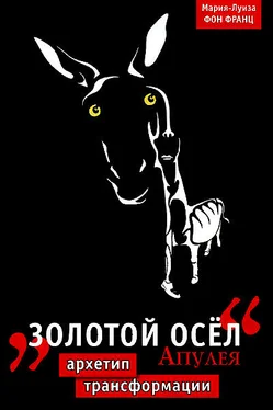 Мария-Луиза Франц “Золотой осел Апулея обложка книги