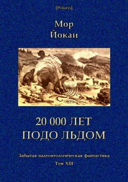 Мор Йокаи 20 000 лет подо льдом [Забытая палеонтологическая фантастика. Т. XXIII] обложка книги