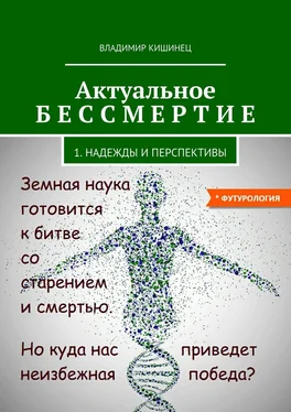 Владимир Кишинец Актуальное бессмертие обложка книги