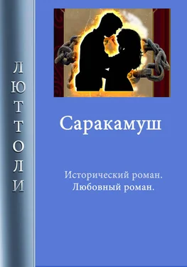 Люттоли Саракамуш обложка книги