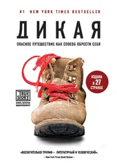 Шерил Стрэйд - Дикая. Опасное путешествие как способ обрести себя [litres]