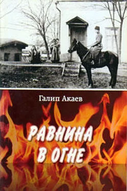 Галип Акаев Равнина в Огне обложка книги