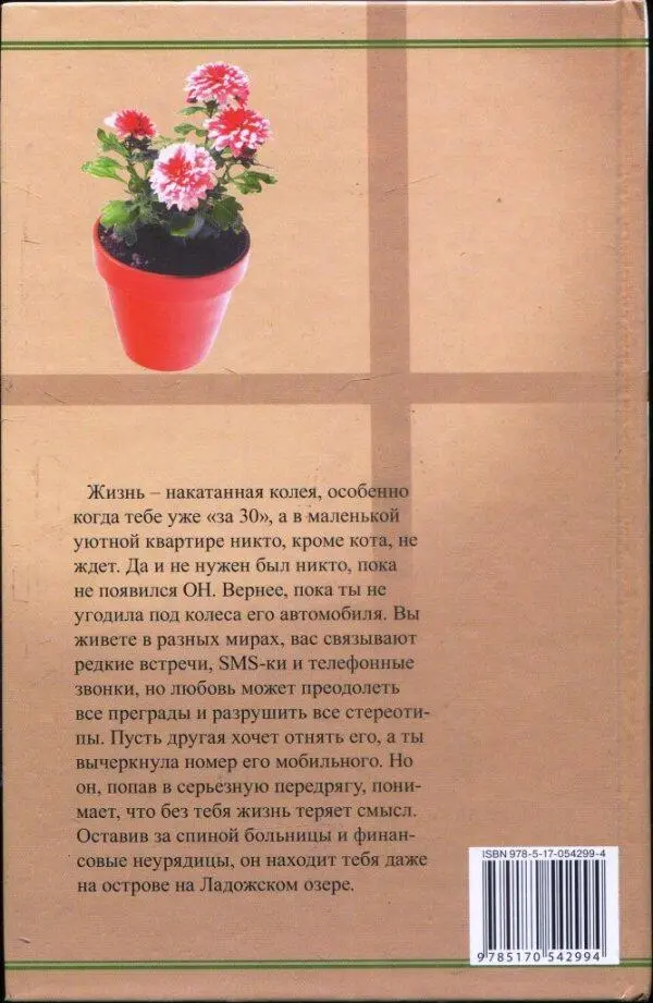 Жизнь накатанная колея особенно когда тебе уже за 30 а в маленькой уютной - фото 2