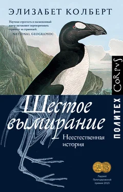 Элизабет Колберт Шестое вымирание. Неестественная история обложка книги