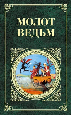Якоб Шпренгер Молот ведьм [litres] обложка книги
