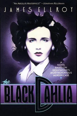 Джеймс Эллрой The Black Dahlia обложка книги