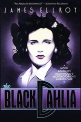 Джеймс Эллрой - The Black Dahlia