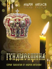 Андрей Ангелов - Гундяевщина.