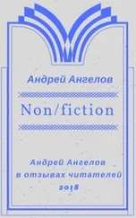 Андрей Ангелов - Non/fiction