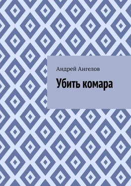 Андрей Ангелов Убить комара обложка книги