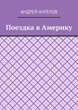 Андрей Ангелов Поездка в Америку обложка книги