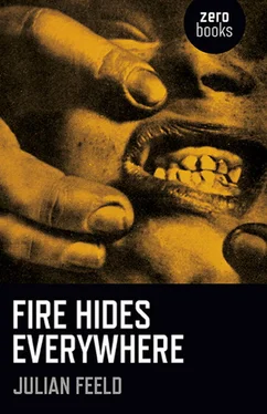 Julian Feeld Fire Hides Everywhere обложка книги