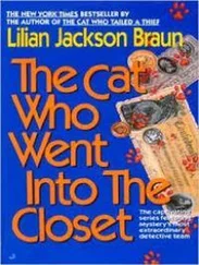 Лилиан Браун - The Cat Who Went Into The Closet