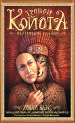 Кэрол Эмшвиллер - Тропой Койота. Плутовские сказки [litres]