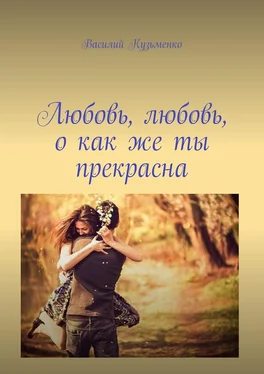 Василий Кузьменко Любовь, любовь, о как же ты прекрасна обложка книги