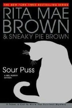 Рита Браун Sour Puss обложка книги