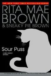 Рита Браун - Sour Puss