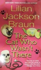Лилиан Браун - The Cat Who Wasn't There