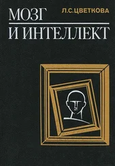 Л Цветкова - Мозг и интеллект - Нарушение и восстановление интеллектуальной деятельности