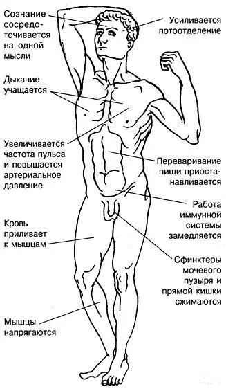 Беспокойство встречается и при других видах психических расстройств В этих - фото 1
